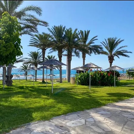 Art * Paphos